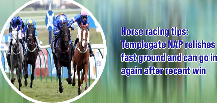 Best racing tips